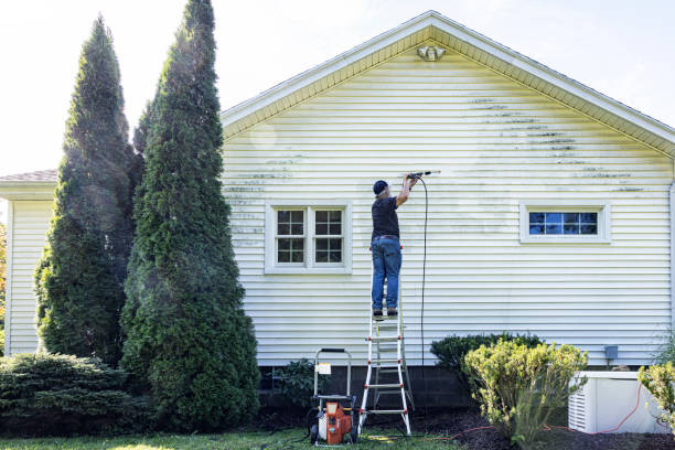 Best Roof Cleaning and Mildew Removal in Matamoras, OH
